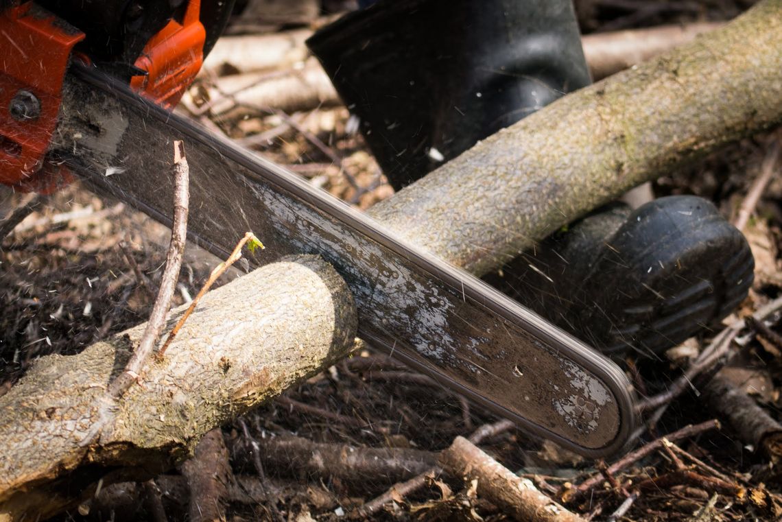 chainsaw chainsaw